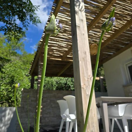 Petite Maison - Porto-Vecchio Exterior photo